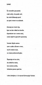 EVŠSŠLIT2 Luka Lahajnar, 4.l. SŠ, Sanje